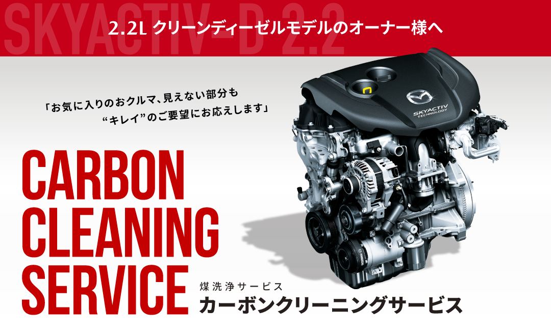 カーボンクリーニングサービス