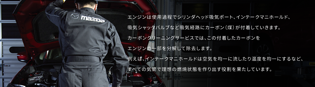 カーボンクリーニング説明