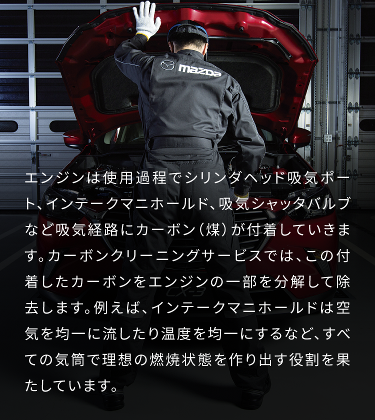 カーボンクリーニング説明