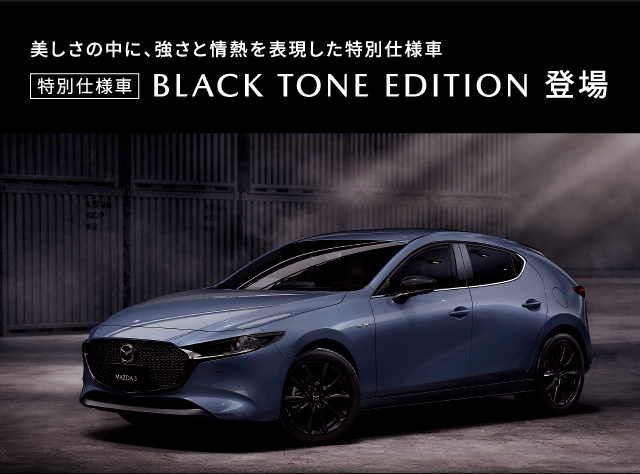 マク※本日午前中まで マセラティパーツ 通販 クアトロポルテ MQPG フロントディスク