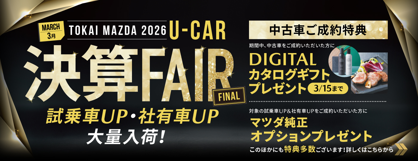 ３月決算FAIR FINAL